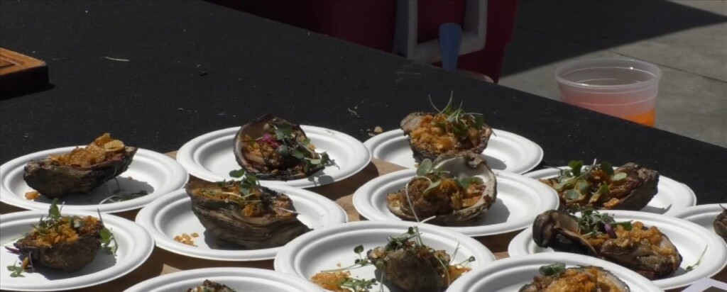 Gulf Coast Oyster Cook Off And Festival