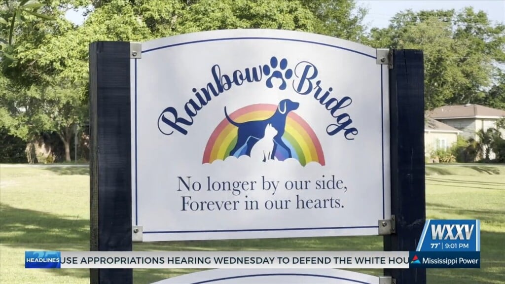 Rainbow Memorial Bridge Unveiled In Gulfport