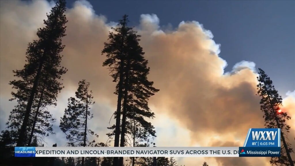 May Is Wildfire Prevention Month