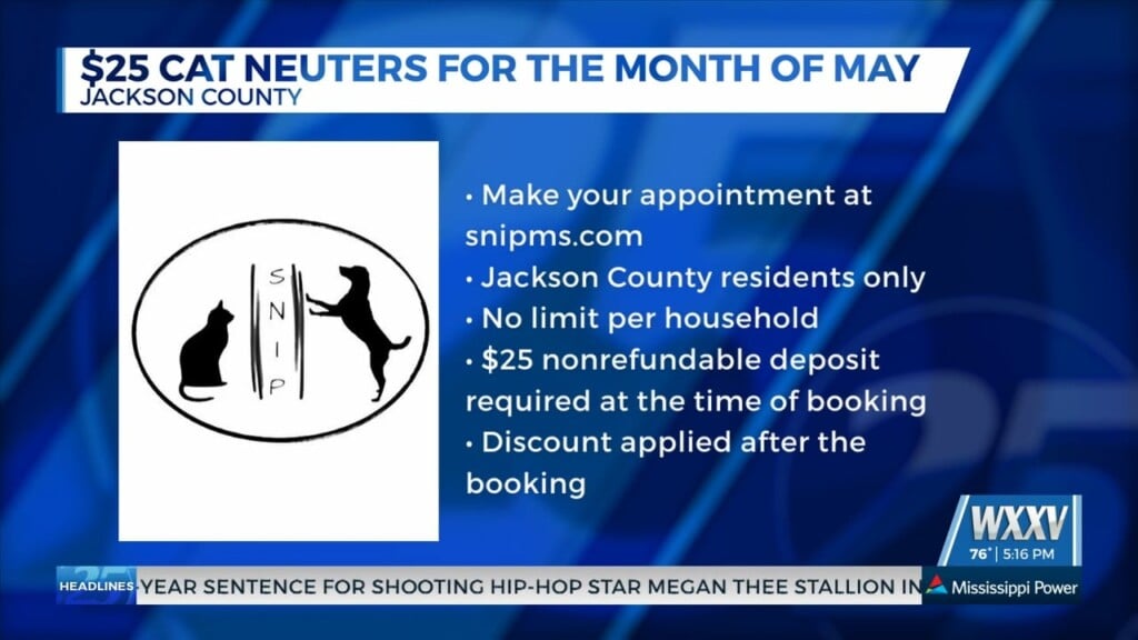 Jackson County Animal Shelter Offering Discounted Cat Neuters