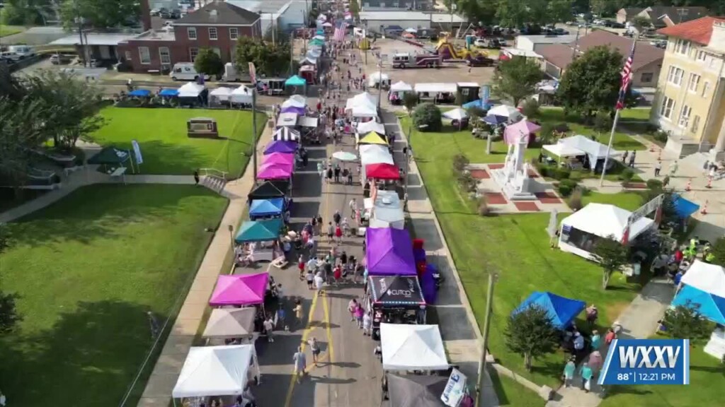 Poplarville Blueberry Jubilee This Weekend