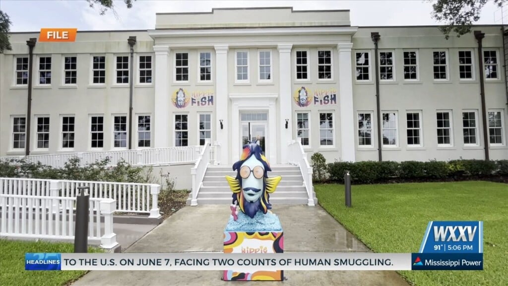 Hippie Fish Holding Grand Opening Thursday