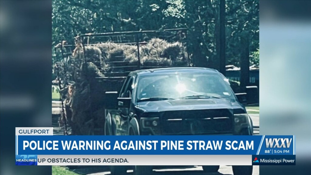 Gulfport Police Warning Against Pine Straw Scam