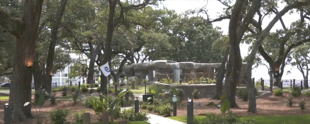Grand Opening Of Hippie Fish In Gulfport