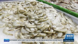 Law Relating To Seafood Labeling Goes Into Effect July 1 In Mississippi