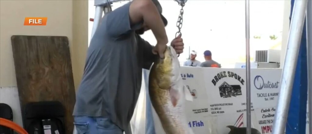 Mississippi Deep Sea Fishing Rodeo