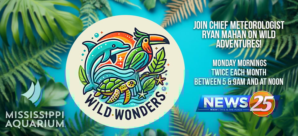 Wild Wonders Web Page Header Copy