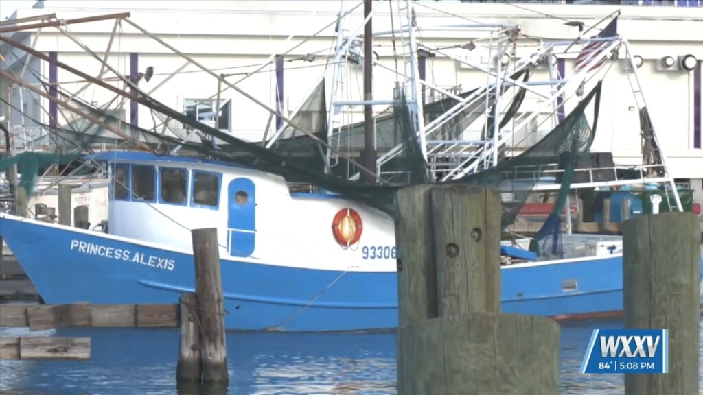 Shrimp Season Officially Underway In Mississippi