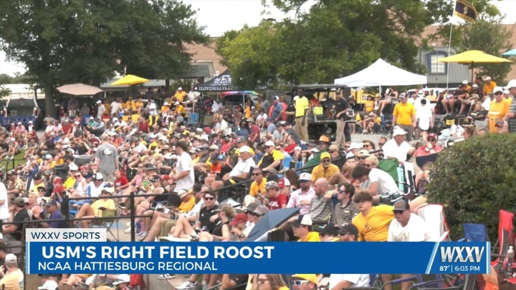 The Tradition Continues Of Southern Miss Baseball's Right Field Roost!