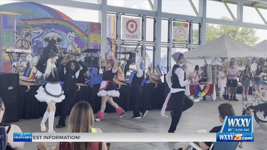 Gulf Coast Association Of Pride Holds Annual Pride Festival