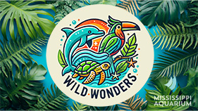 Wild Wonder Featured Content Graphic Copy