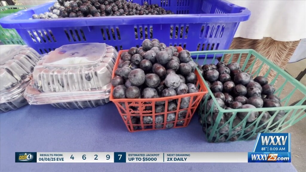 Community Comes Out To 20th Annual Red, White, And Blueberry Festival In Ocean Springs