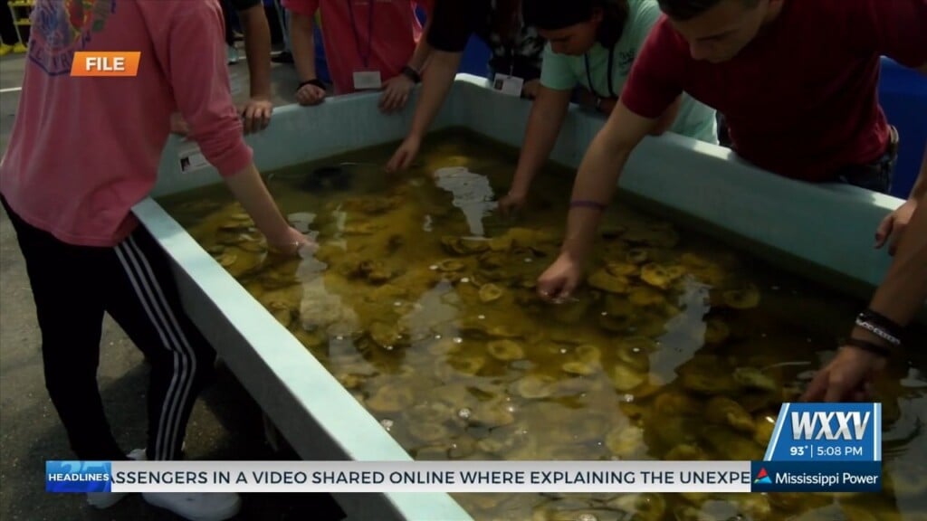 Southern Miss Launches New Marine Aquaculture Initiative