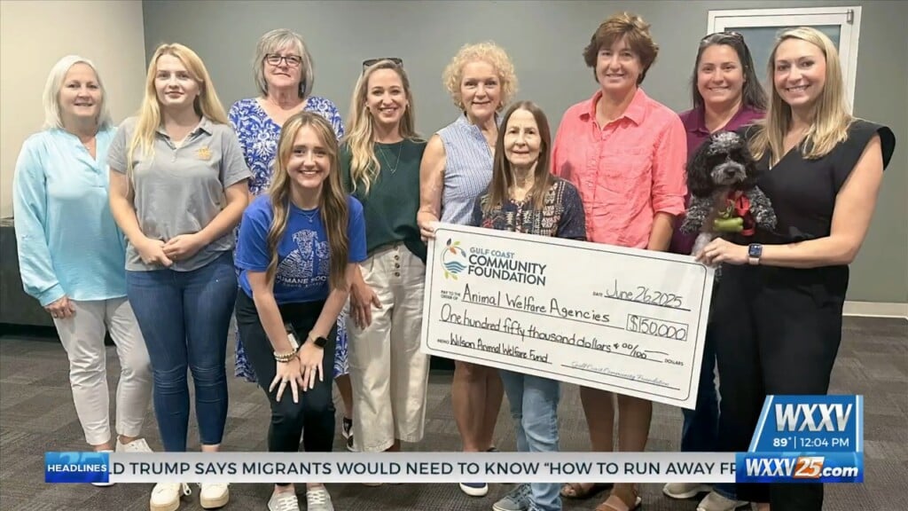 Gccf Awards Grants To Six Animal Welfare Agencies