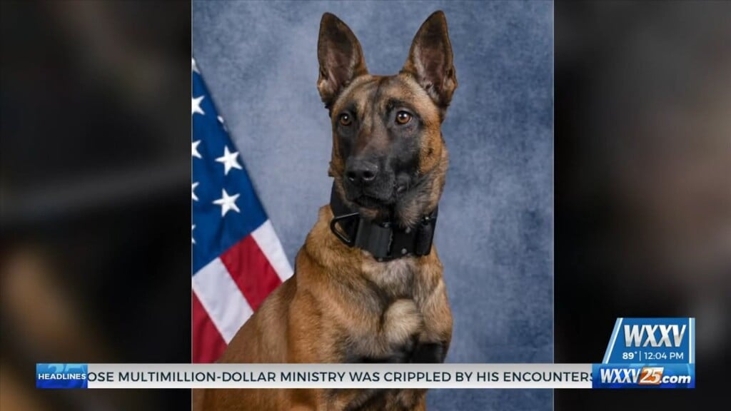 Gautier K9 Receives Body Armor Donation