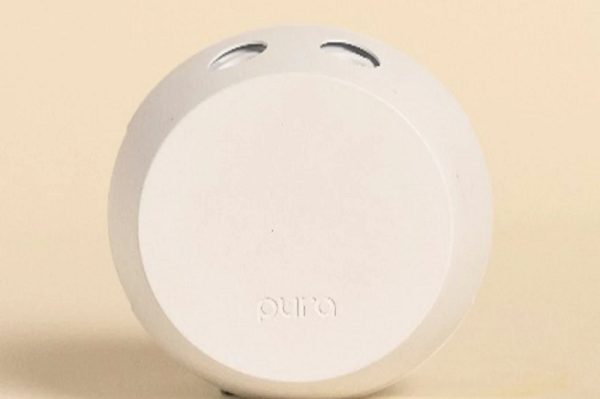 Pura