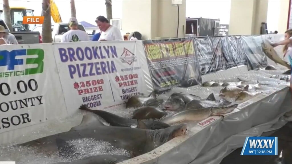 Deep Sea Fishing Rodeo Kicks Off This Week