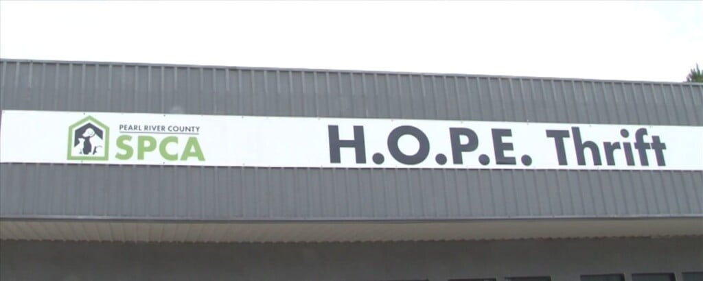 'we Get People In Here Regularly:' How Hope Thrift In Picayune Helps Animals In Need