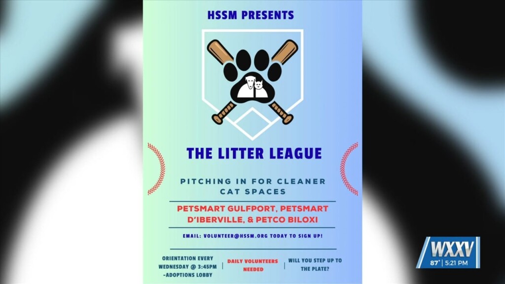 Volunteers Needed For The Litter League
