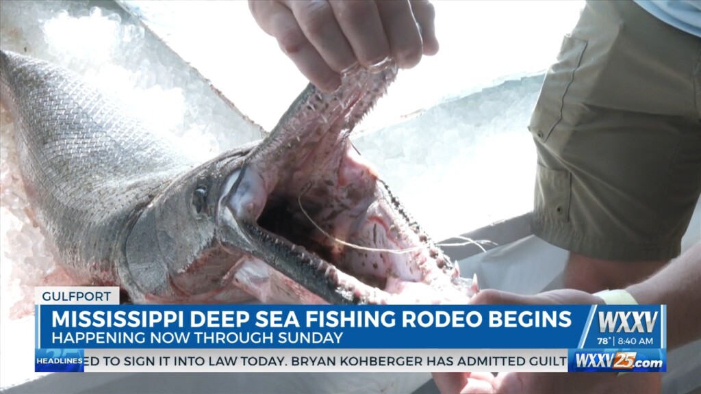 77th Annual Mississippi Deep Sea Fishing Rodeo Begins
