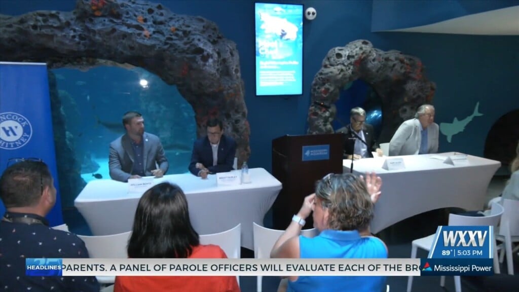 ‘ocean Of Opportunity’ Offering Free Children’s Admission At Mississippi Aquarium