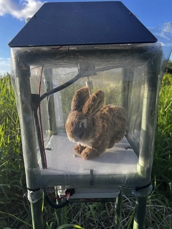 Robobunny