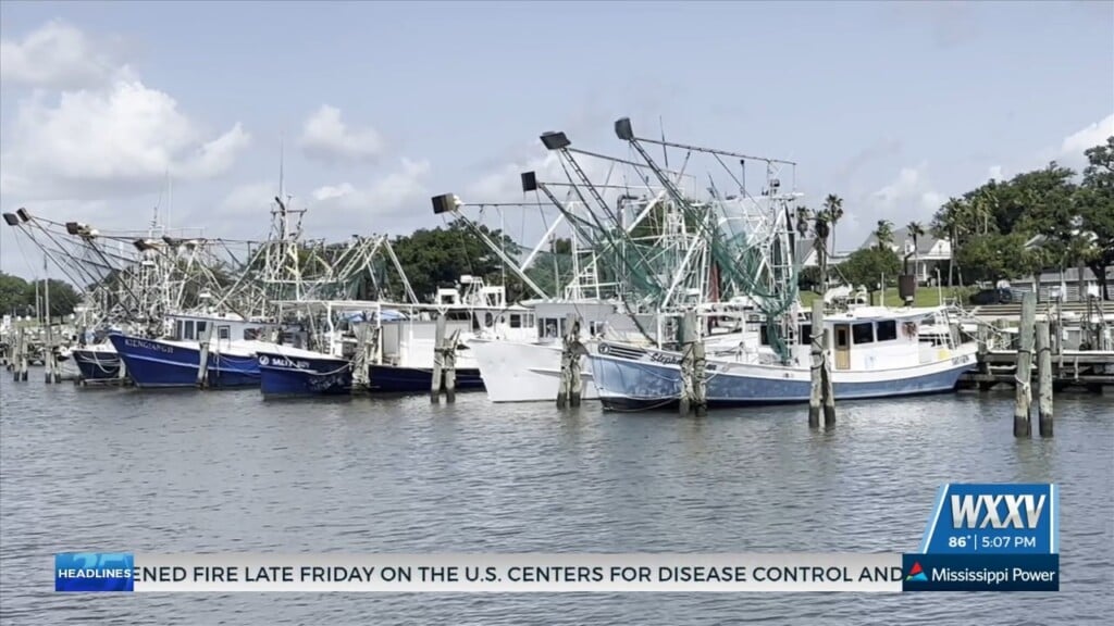 Getting An Update On 2025 Shrimping Season