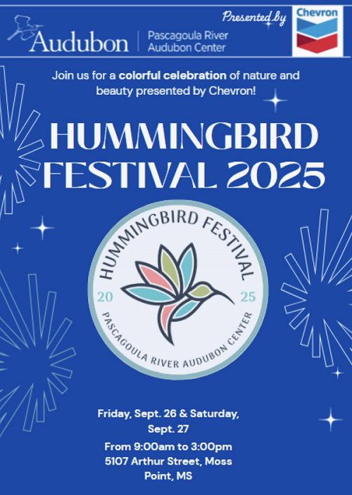 Hummingbird Festival