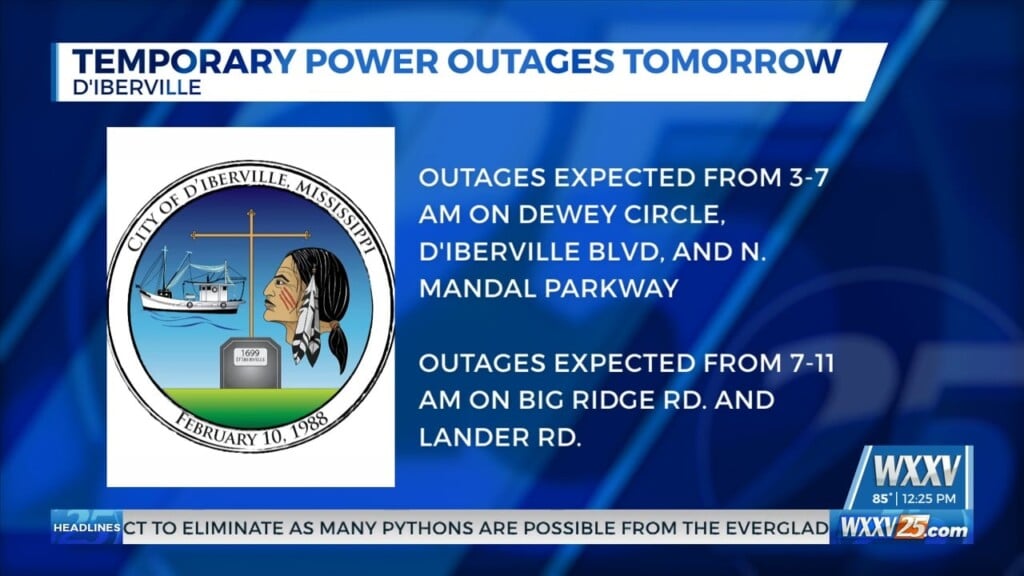 Temporary Power Outages In Areas Of D’iberville Friday