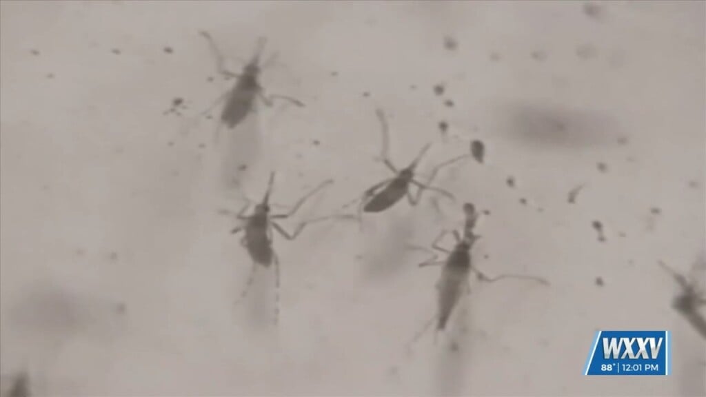 First West Nile Death Confirmed In Mississippi