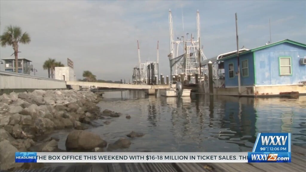 Gag Fishing Seasons Begins Labor Day