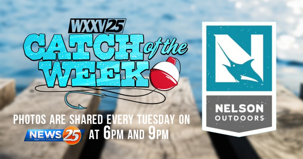 Catch Of The Week Website Header Copy