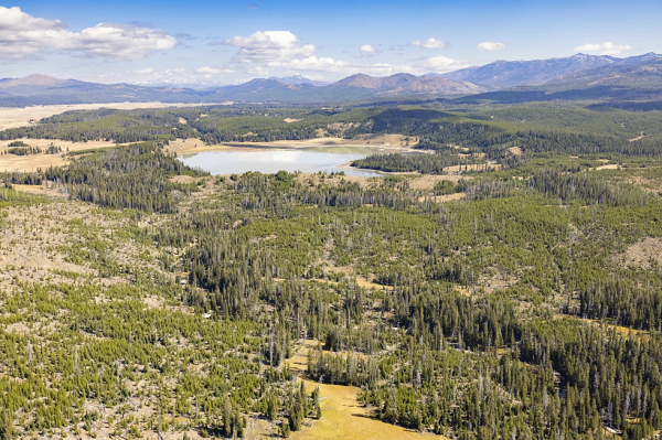 Yellowstone