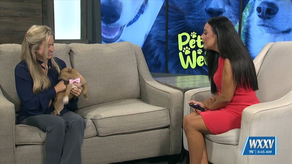 Pet Of The Week: Kiwi