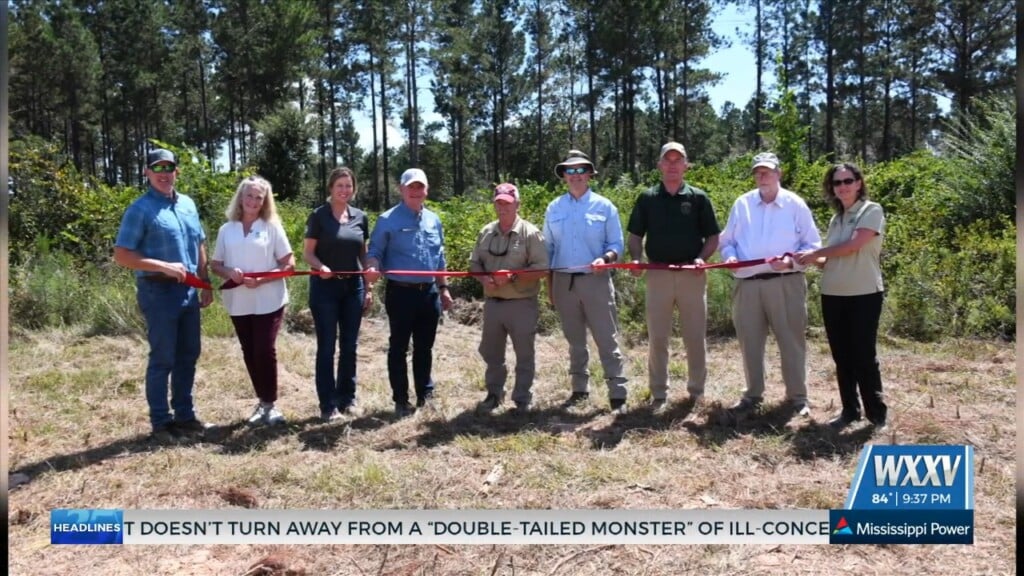 Msu Cuts Ribbon On Coastal Forest Research Center In Stone County