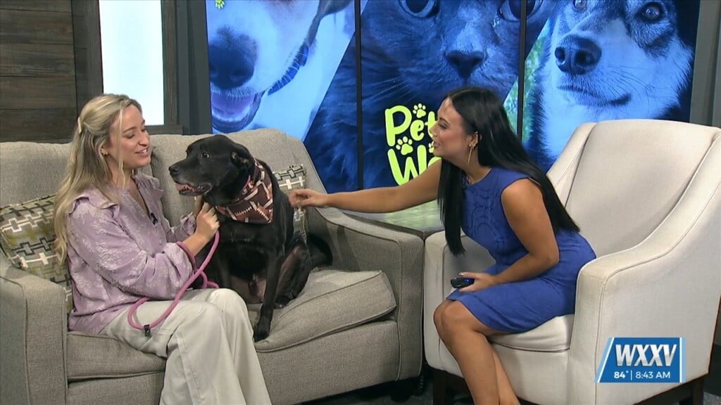 Pet Of The Week: Moon