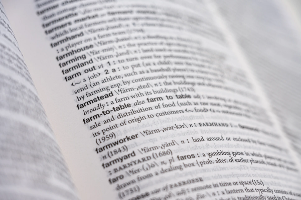 Dictionary