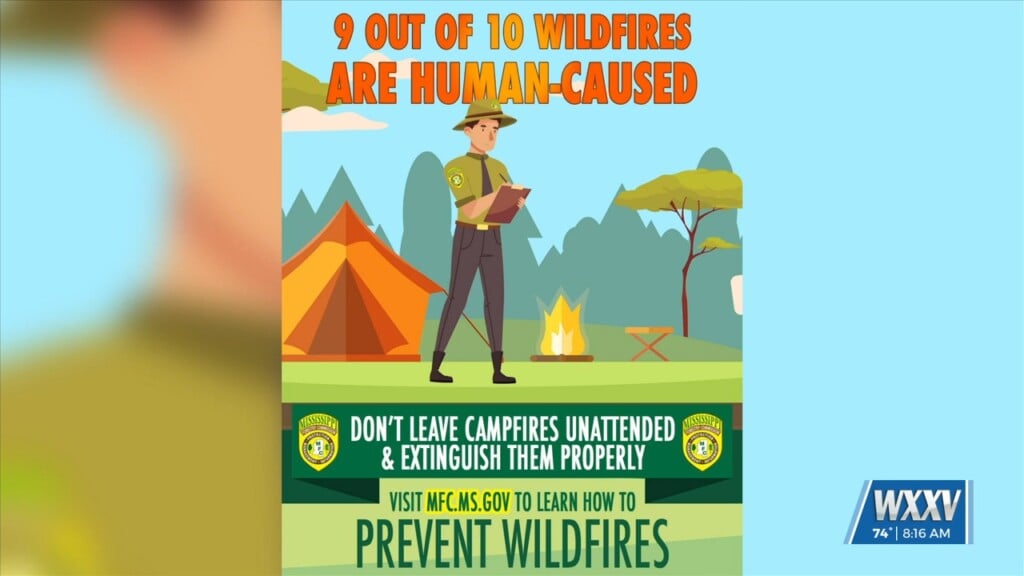 Mississippi Forestry Commission Offers Wildfire Safety Tips