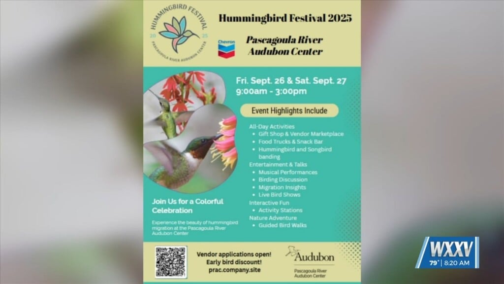 7th Annual Hummingbird Festival