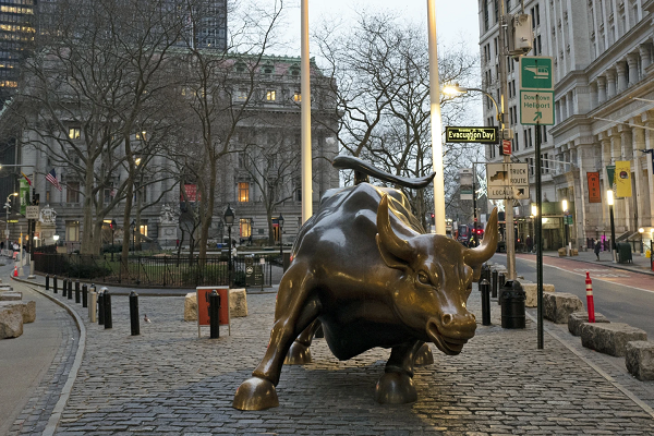Bull