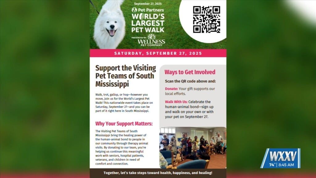 Taking Part In The World’s Largest Pet Walk