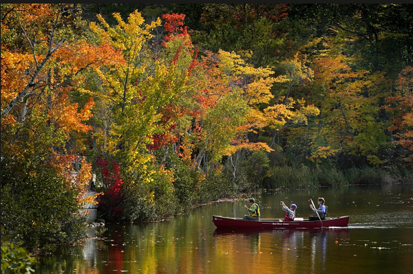 Fall