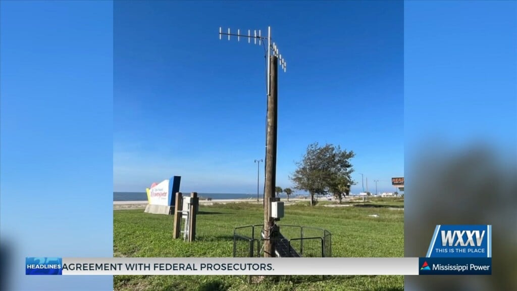 Mississippi Coastal Stewardship Program Tracking Bird Movements