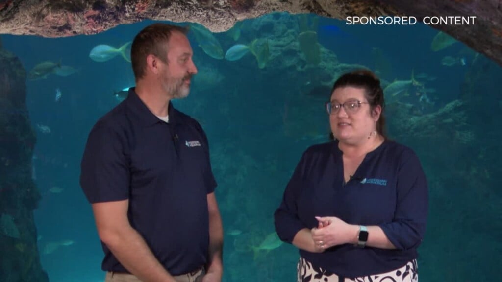 Wild Wonders: Oceans Of Opportunity