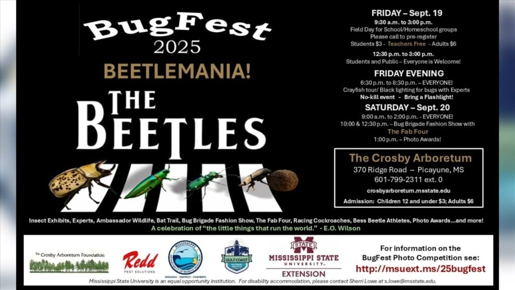 Bugfest 2025: Beetlemania