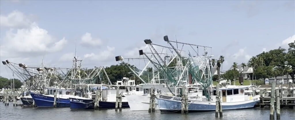 New Coastal Waters To Open For Shrimping