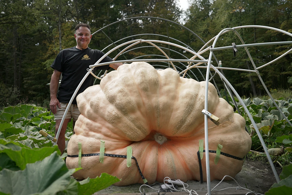 Pumpkin