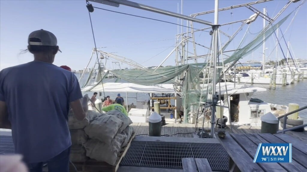 Early Report On This Year’s Oyster Season