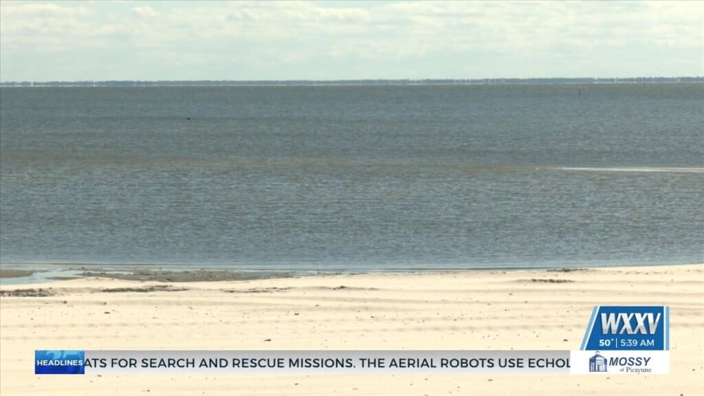 Southern Miss Hosts Tedx Event On Blue Economy