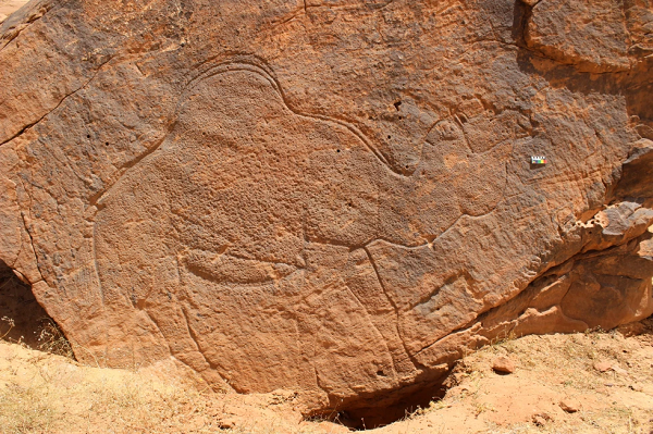 Carving